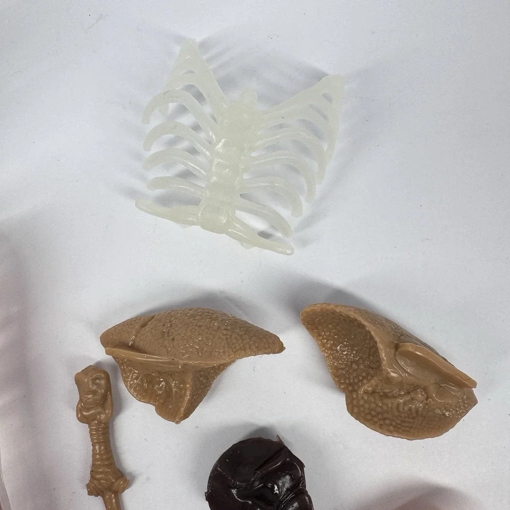 Human Anatomy Body Model‎ Figure w Removable Organs Educational READ
